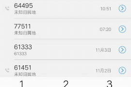 双清遇到恶意拖欠？专业追讨公司帮您解决烦恼