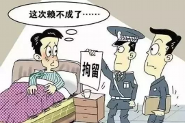 双清如何避免债务纠纷？专业追讨公司教您应对之策