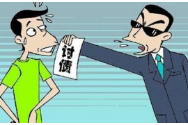 双清双清的要账公司在催收过程中的策略和技巧有哪些？